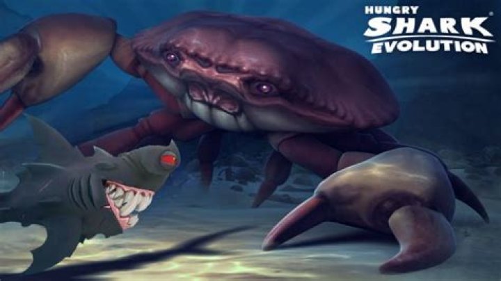 How do you defeat the king crab in Hungry Shark?
