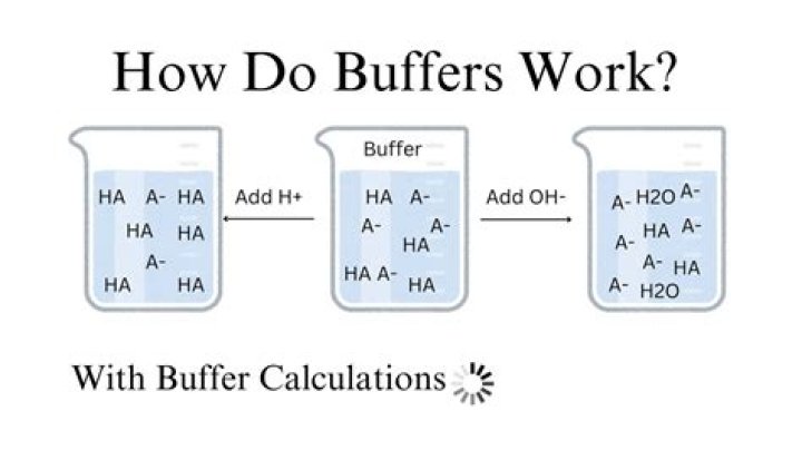 How does a buffer minimize changes in ph?