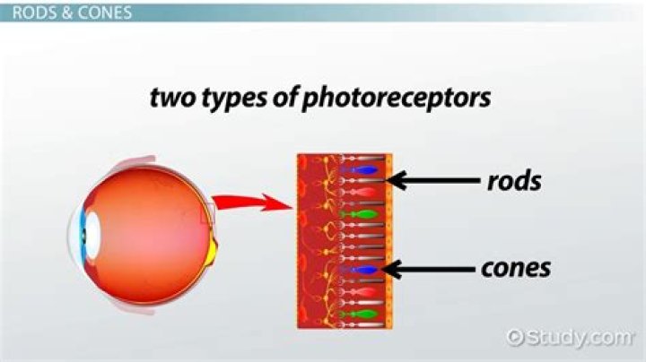 How does eyeballing work?