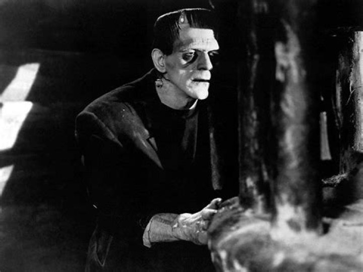 How frankenstein was made?