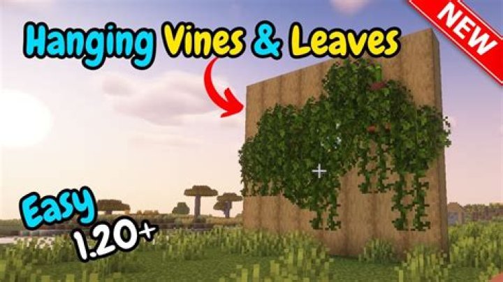 How long can vines grow in Minecraft?