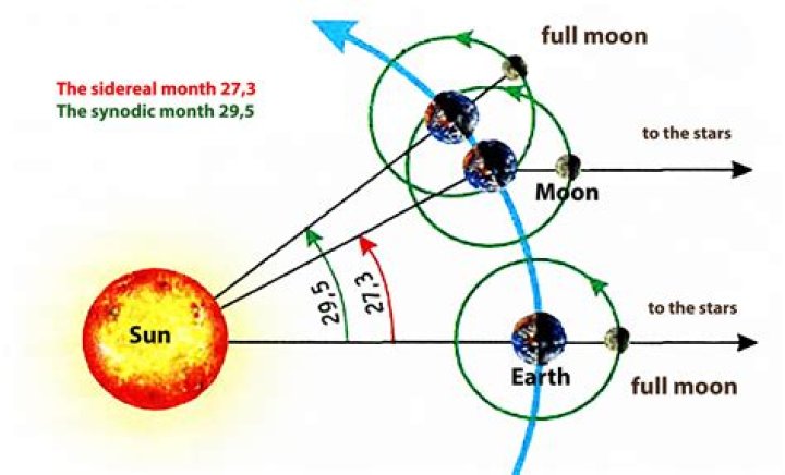 How long is the synodic period of the moon?