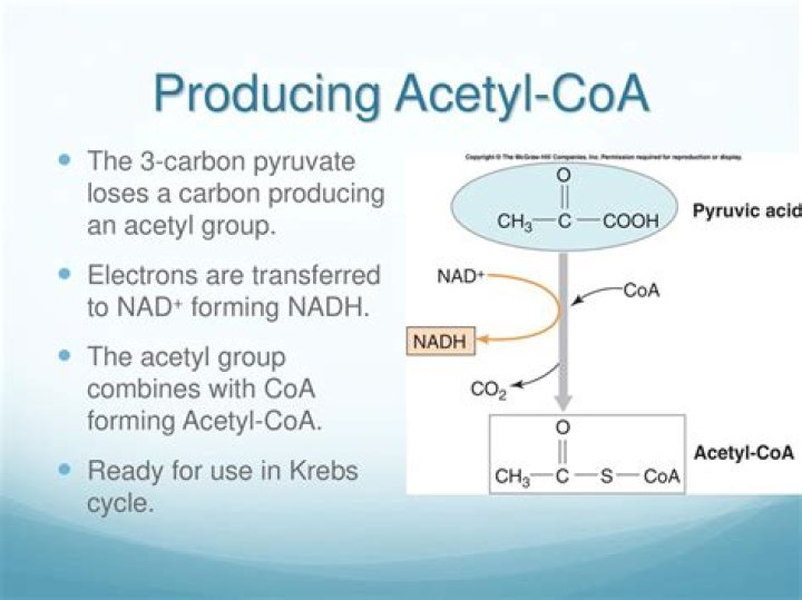 How many carbon atoms are in heptadecane?