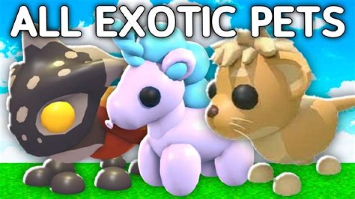 How many exotic items can I use at once?