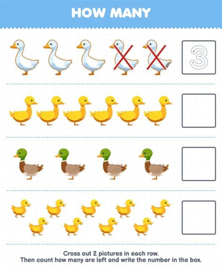 How many numbers are in this set?