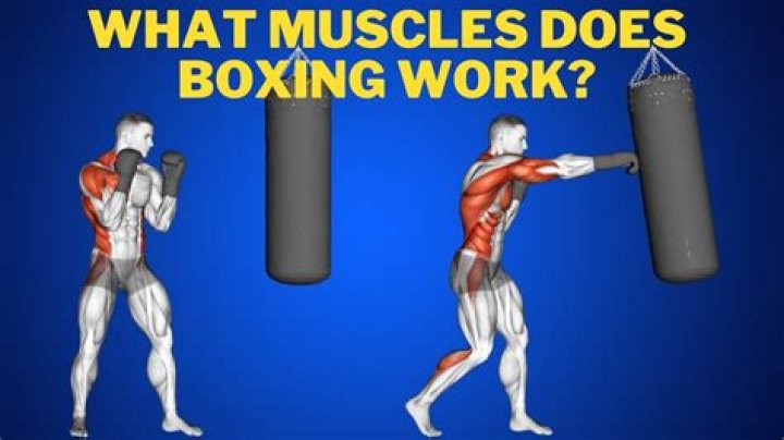 How much are boxing gyms?