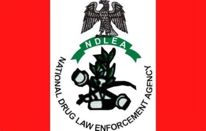 How ndlea was established?