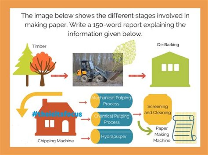 How papers are made from trees?
