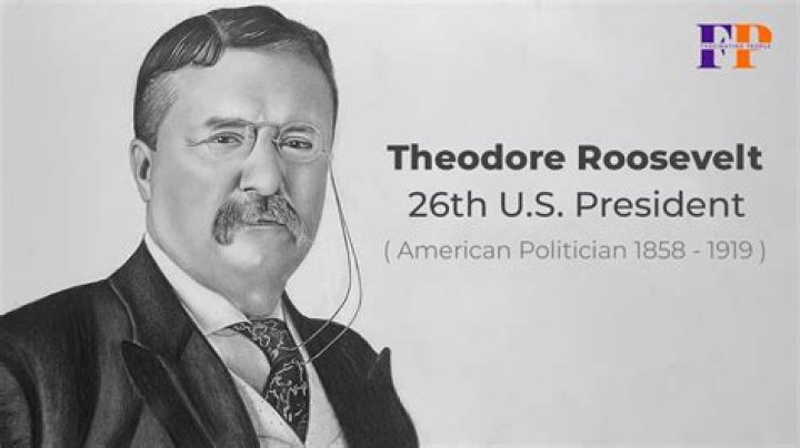 How theodore roosevelt became president?