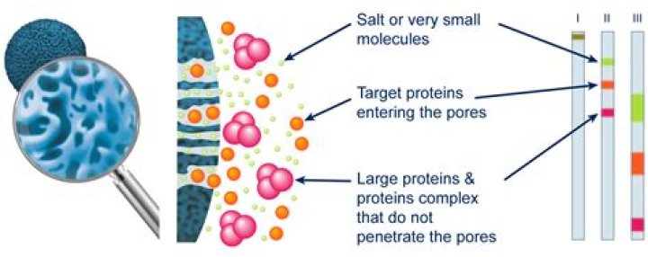 How to desalting protein?