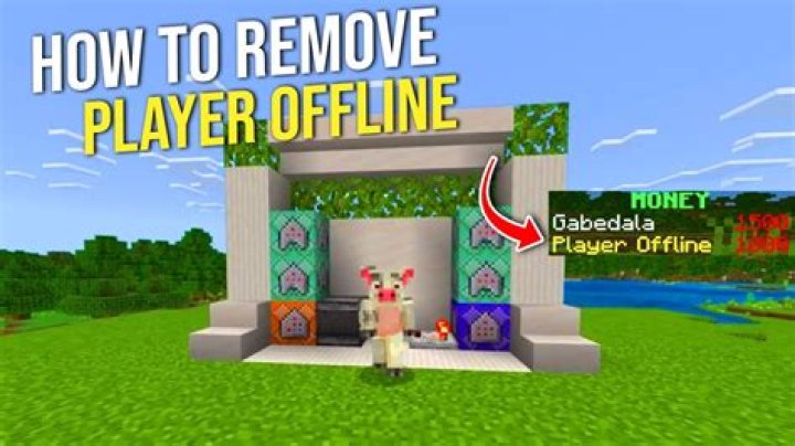 How to get out offline player from The End in Minecraft