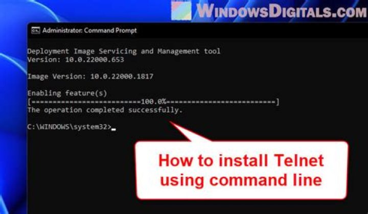 How to install a telnet client?