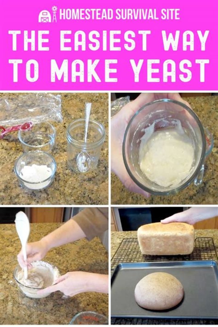 How to make bread yeast?