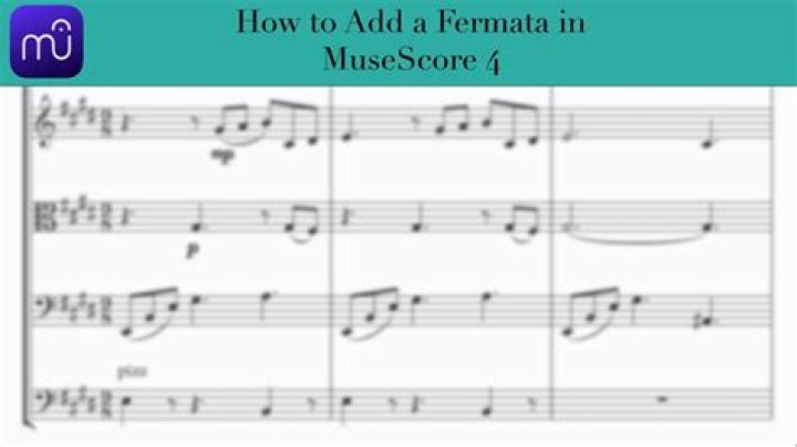 How to make sibelius play fermata?
