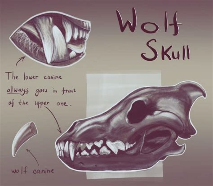 How to Mark Wolfskull Cave As Cleared