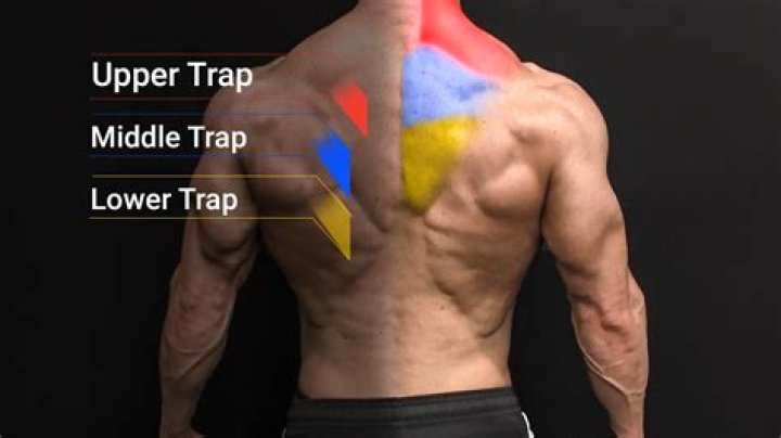 How to strengthen mid upper back?