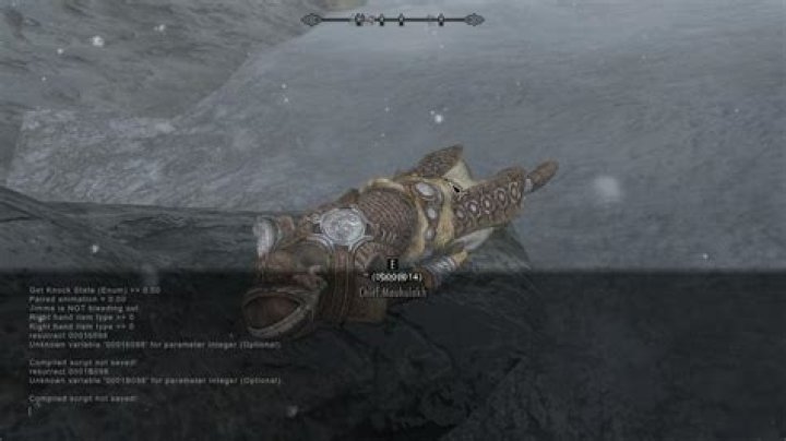 I cannot brawl properly against Chief Mauhulakh