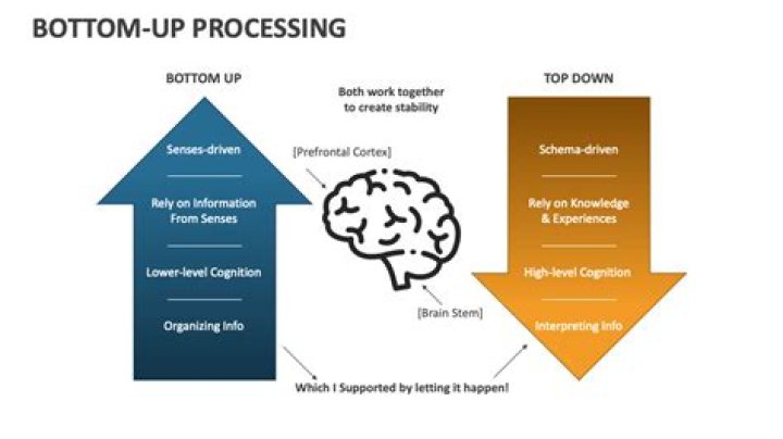 In bottom-up processing the resulting percept is determined by?