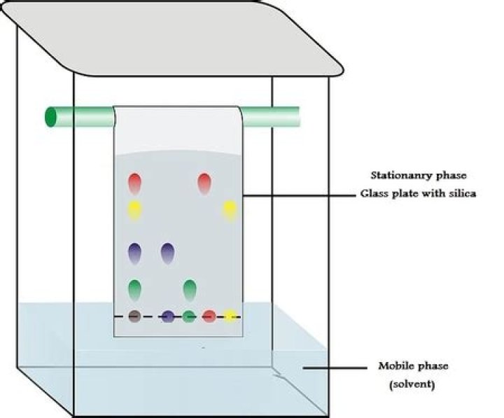 In chromatography what is the stationary phase?