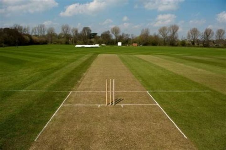 In cricket what is a half volley?