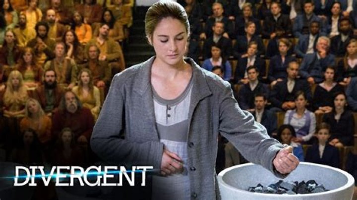In divergent what are tris fears?