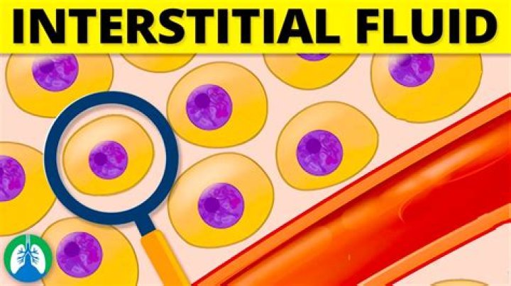 In the interstitial fluids?