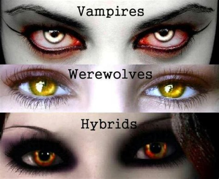 In twilight why are some vampires eyes red?