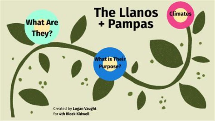 In what ways are llanos and pampas alike?