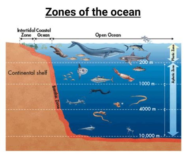 In what zone does each event occur in?
