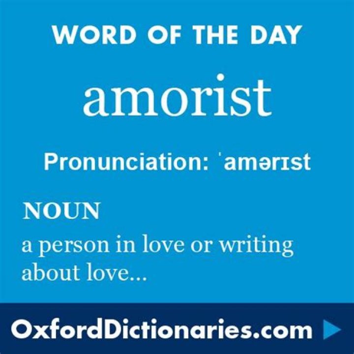 Is amorist in english word?