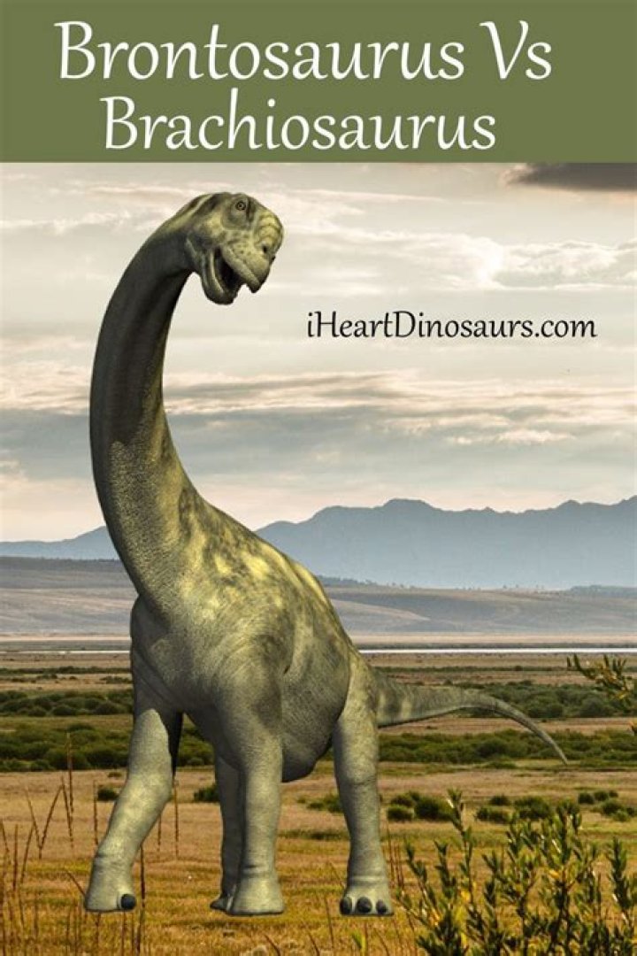 Is brachiosaurus the same as brontosaurus?