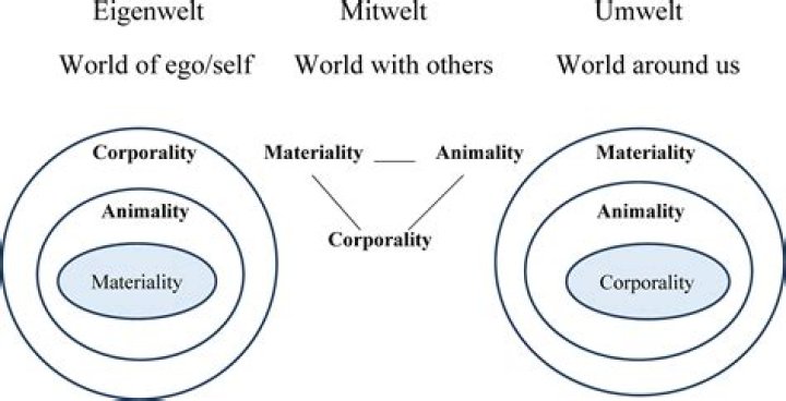 Is corporeality a word?