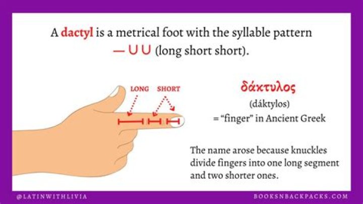 Is dactylology a noun?