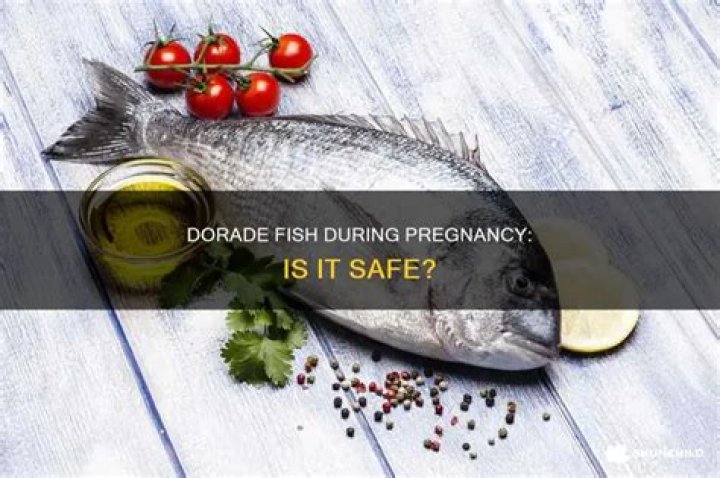 Is dorade fish safe for pregnancy?