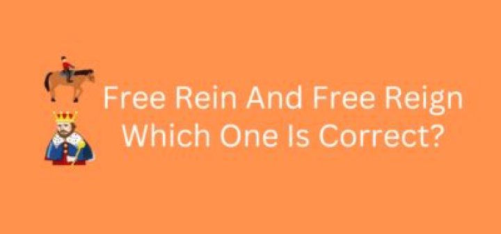 Is it free rein or free reign?