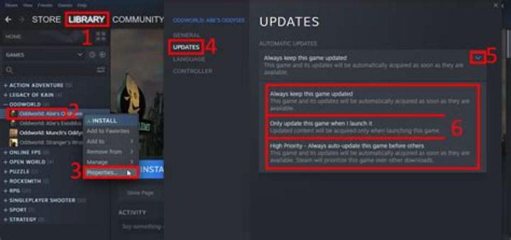 Is it possible to entirely disable updates for a game on Steam?