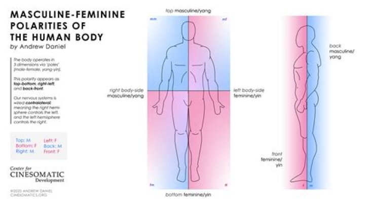 Is licorne masculine or feminine?