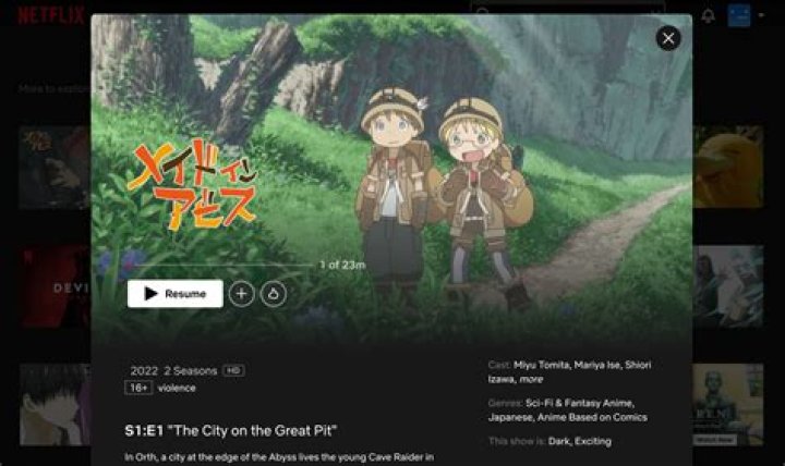Is made in abyss on netflix?