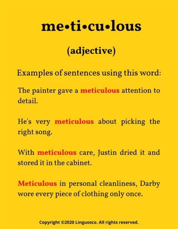 Is meticulous a positive word?