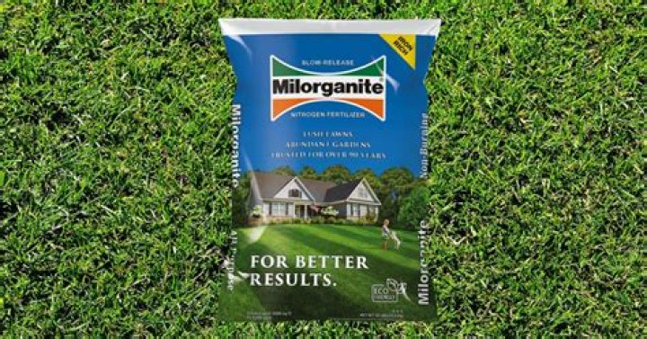 Is milorganite good for centipede grass?