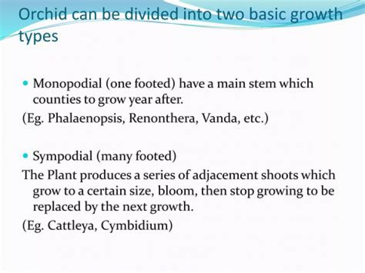 Is monopodial an adjective?