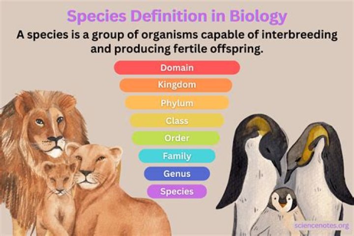 Is organisms a species?