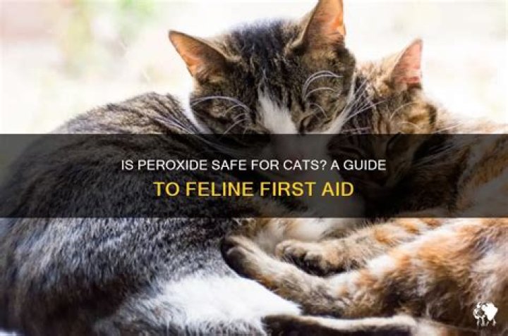 Is peroxide safe for cats?