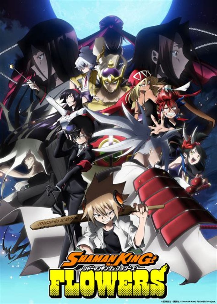 Is shaman king 2021 a remake?