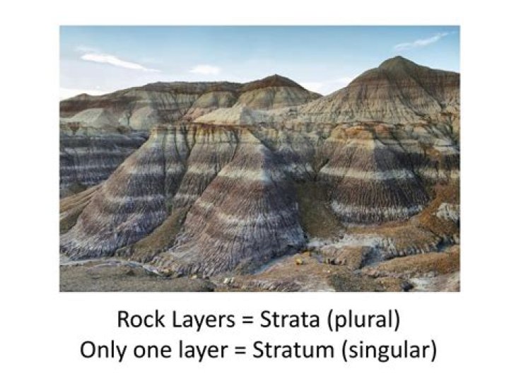 Is stratum singular or plural?