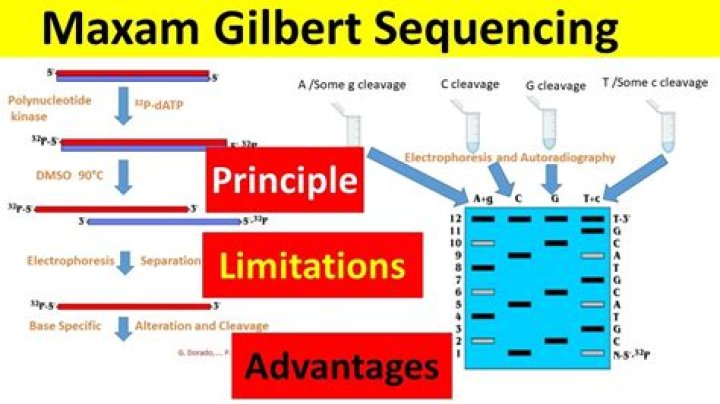 Is the sequence $\{\varphi^{(k)}(n)\}$ an eventually periodic sequence?