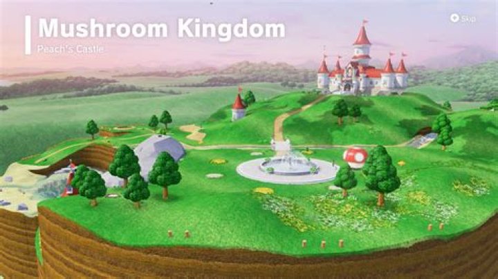 Is there a King to the Mushroom Kingdom?