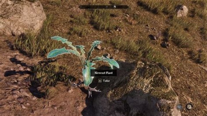 Is there a "Nirnroot" quest?