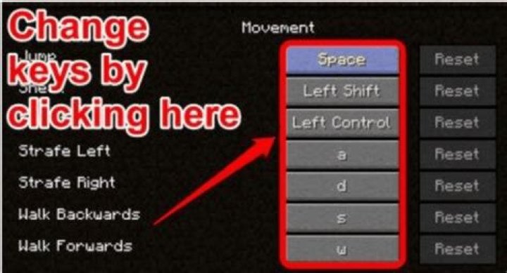 Is there a way to configure mouse controls on Minecraft pc?