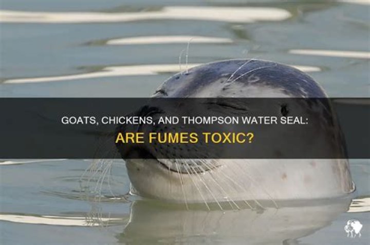 Is thompson water seal toxic to animals?